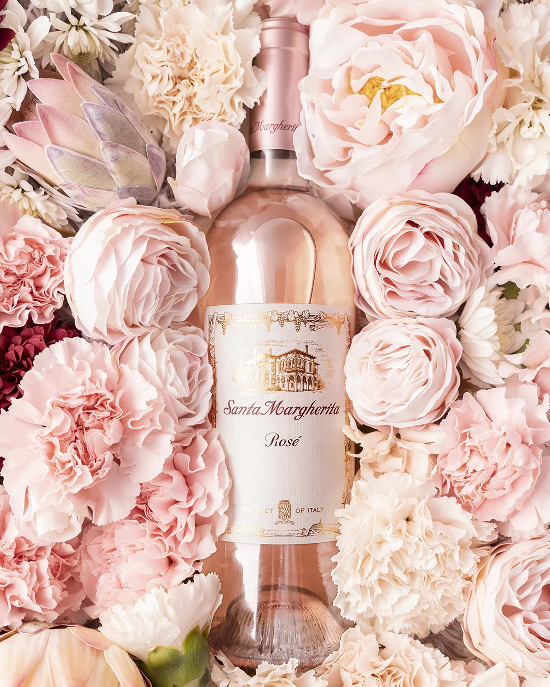 Rosé Launch
