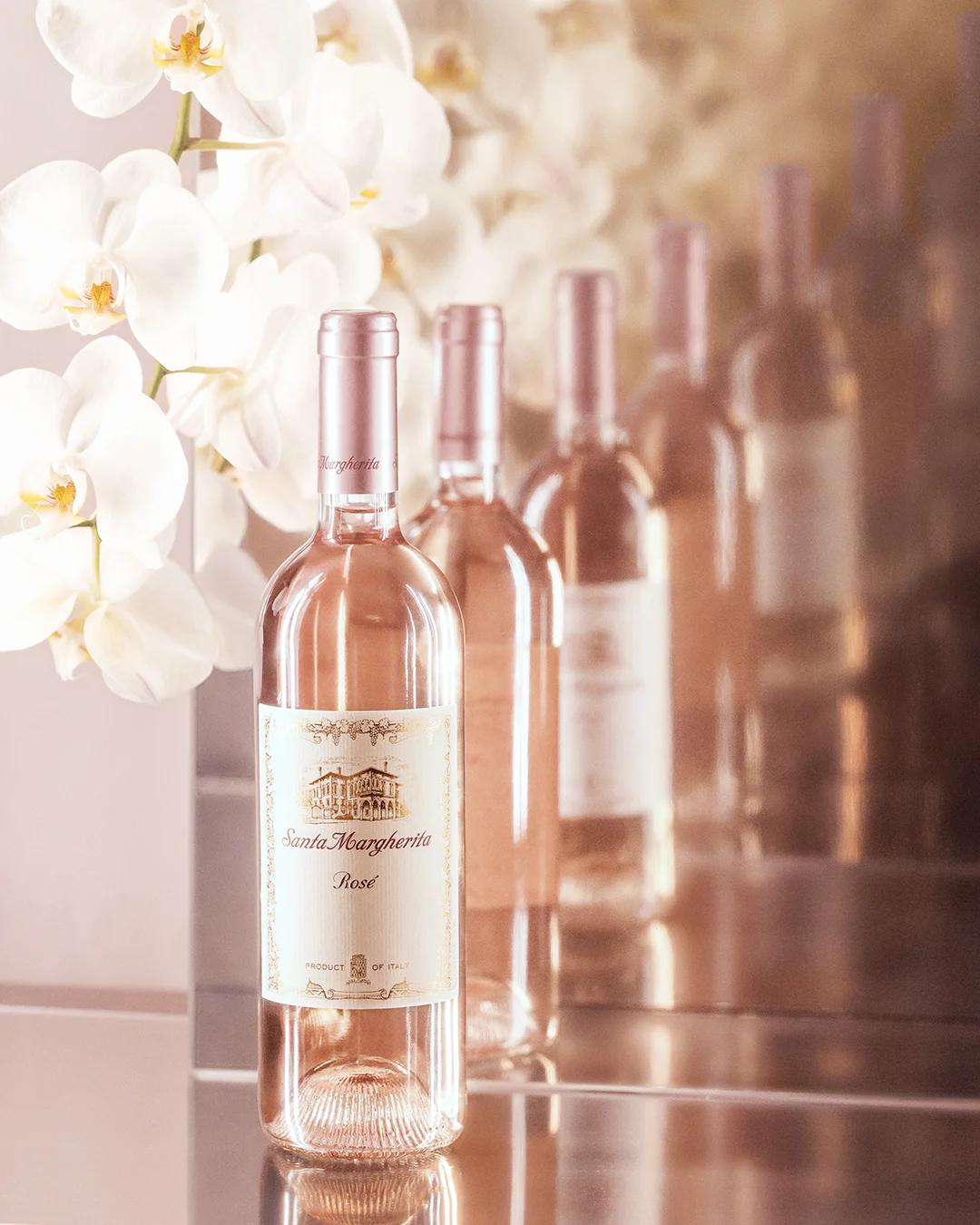 Rosé Launch