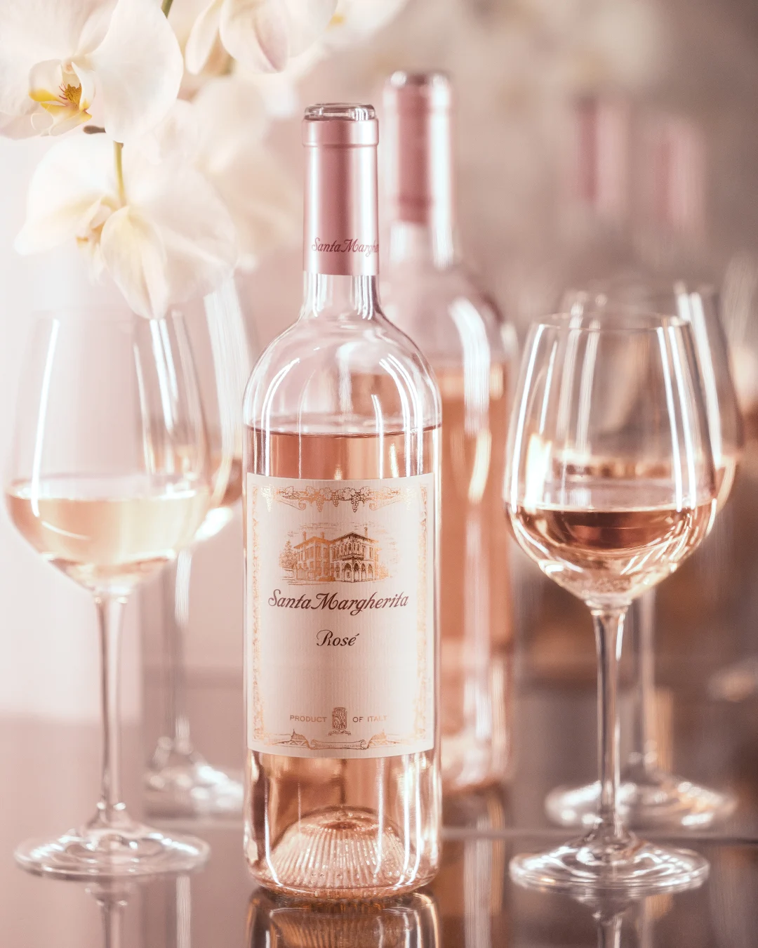 Rosé Launch