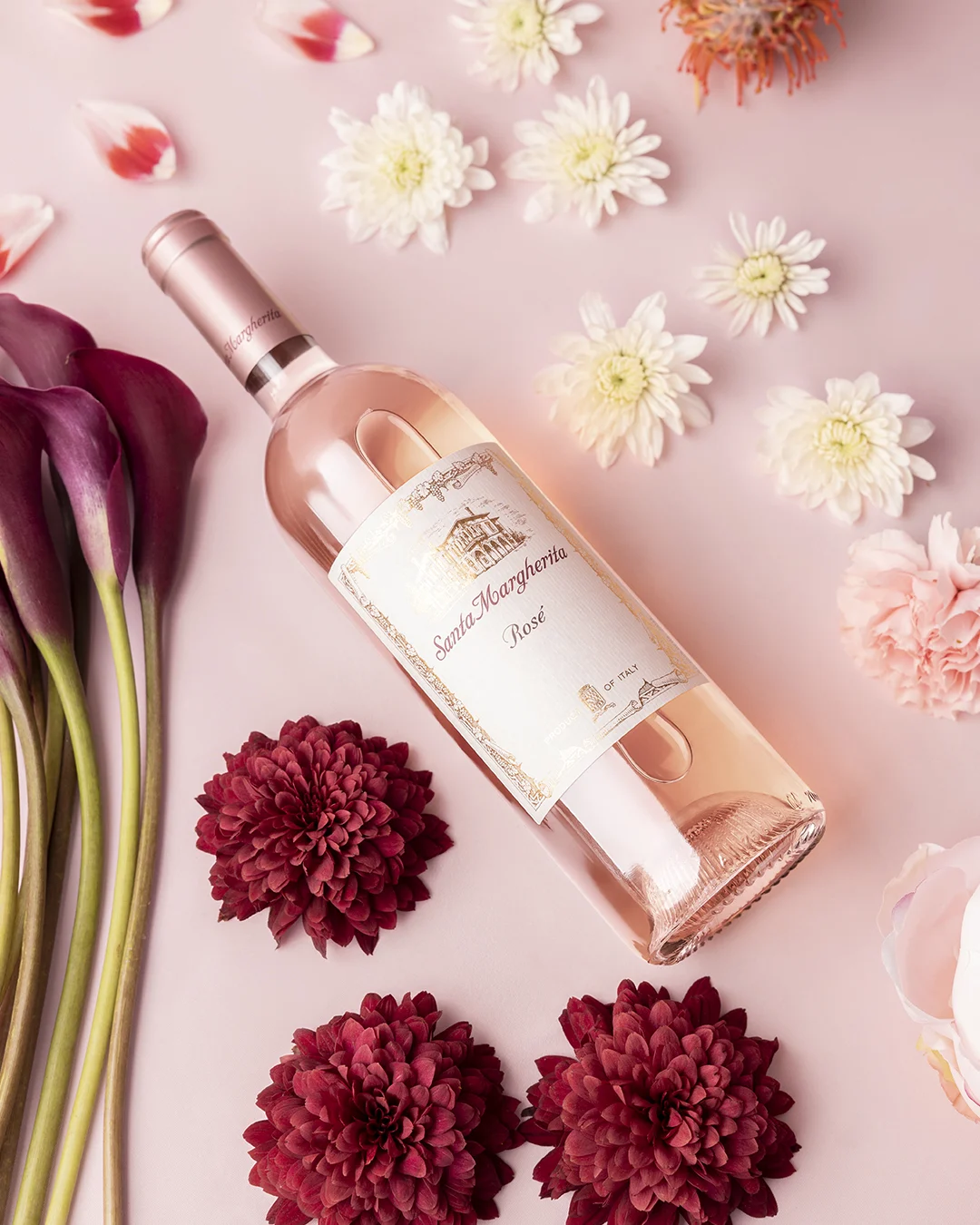 Rosé Launch