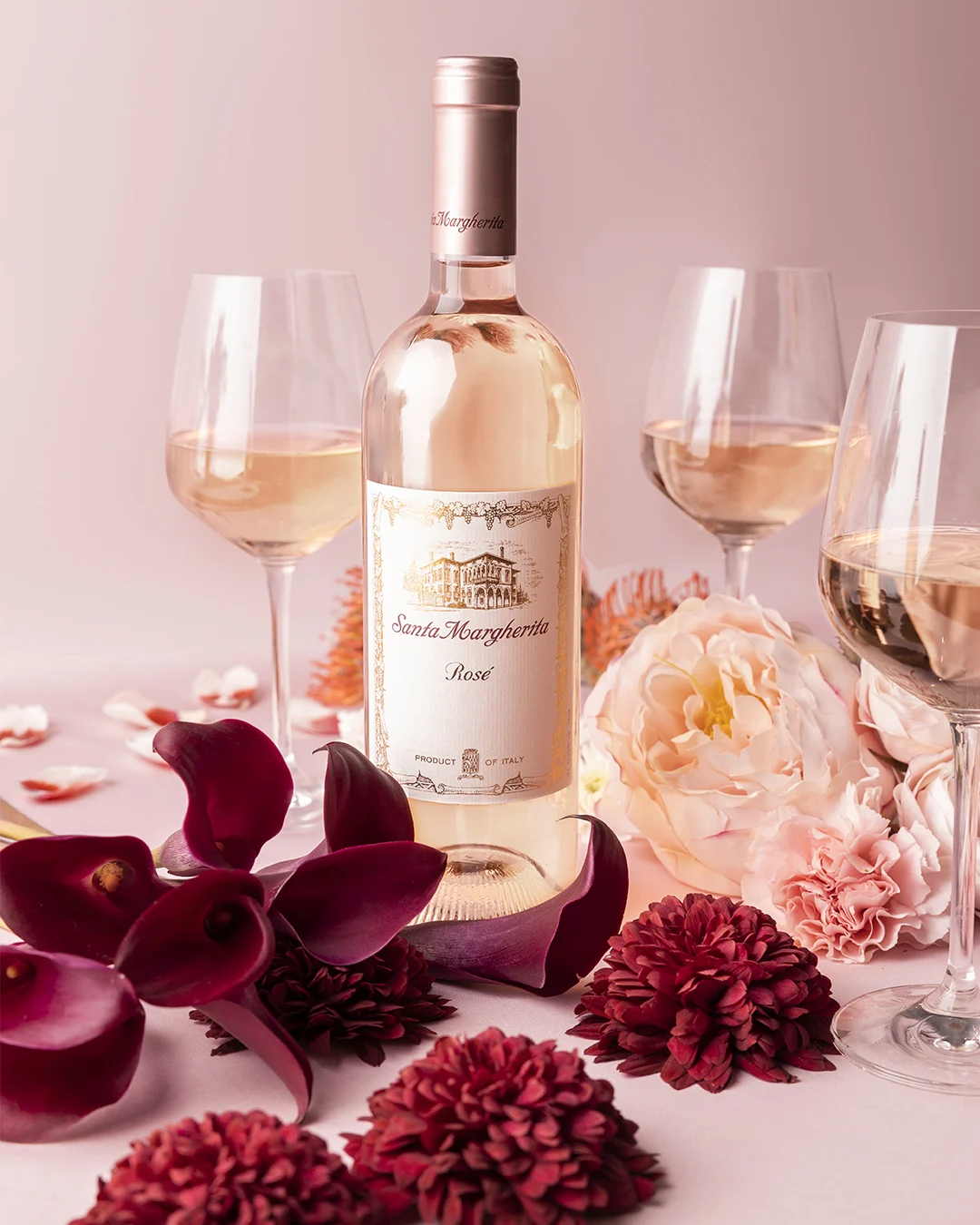 Rosé Launch