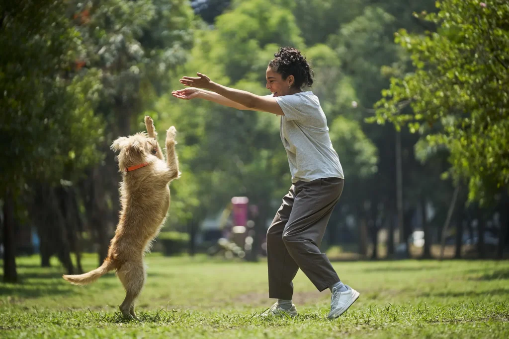 Woman playing with golden dog jumping on hind legs in sunny park with lush green trees in background